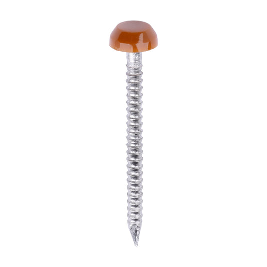 TIMCO Polymer Headed Pins A4 Stainless Steel Clay Brown - 30mm - Image