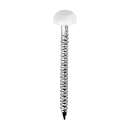 TIMCO Polymer Headed Pins A4 Stainless Steel Cream - 30mm - Image