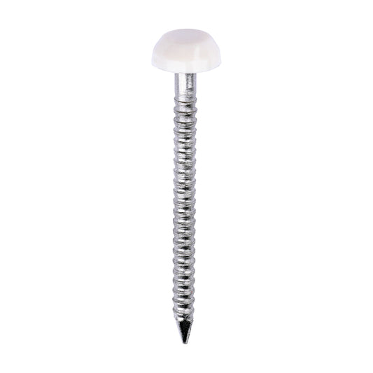 TIMCO Polymer Headed Pins A4 Stainless Steel Cream - 30mm - Image