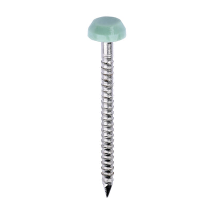 TIMCO Polymer Headed Pins A4 Stainless Steel Chartwell Green - 30mm - Image