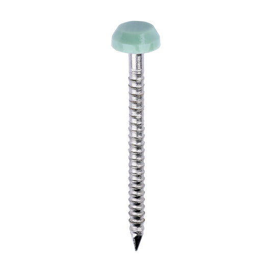 TIMCO Polymer Headed Pins A4 Stainless Steel Chartwell Green - 30mm - Image