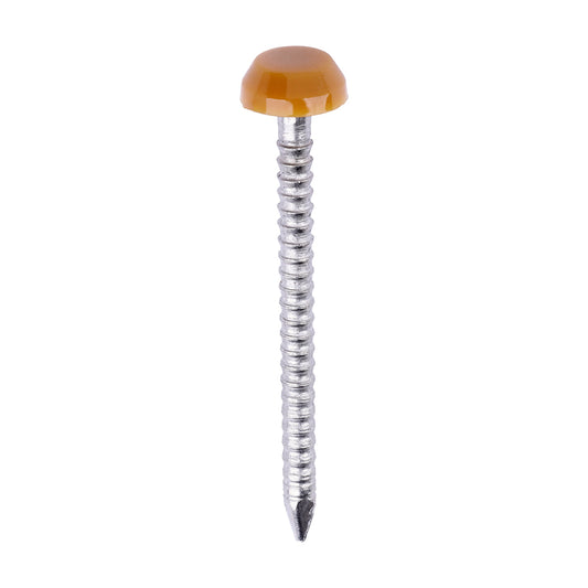 TIMCO Polymer Headed Pins A4 Stainless Steel Oak - 30mm - Image