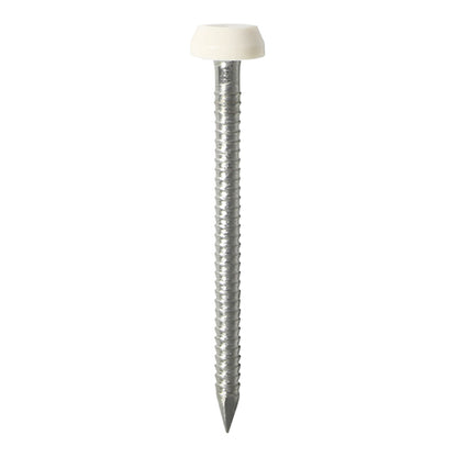 TIMCO Polymer Headed Pins A4 Stainless Steel White - 30mm - Image