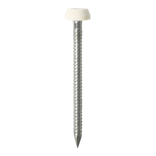 TIMCO Polymer Headed Pins A4 Stainless Steel White - 30mm - Image