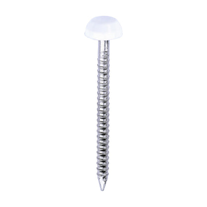 TIMCO Polymer Headed Pins A4 Stainless Steel White - 30mm - Image