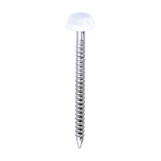 TIMCO Polymer Headed Pins A4 Stainless Steel White - 30mm - Image