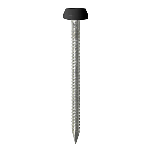TIMCO Polymer Headed Pins A4 Stainless Steel Black - 40mm - Image