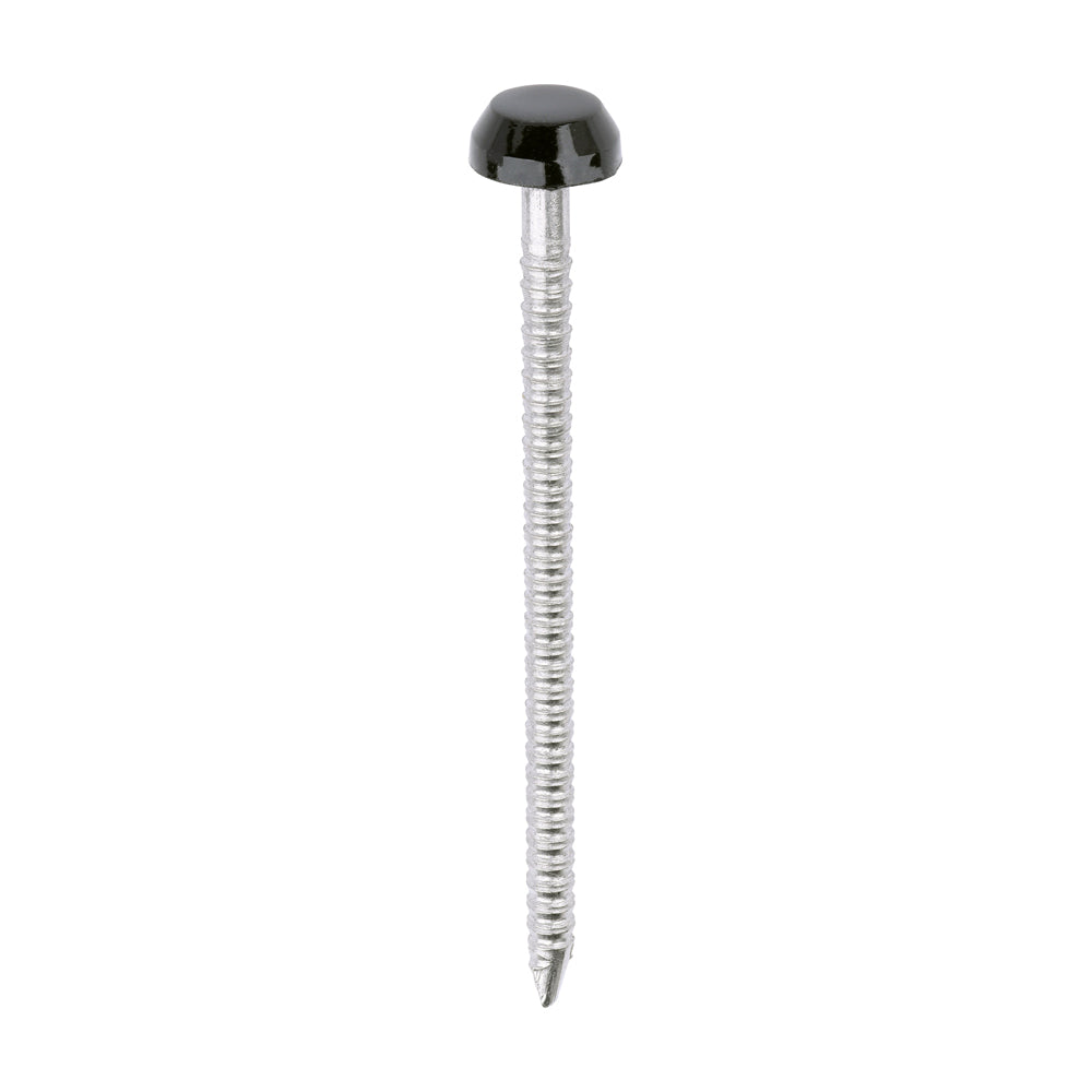 TIMCO Polymer Headed Pins A4 Stainless Steel Black - 40mm - Image