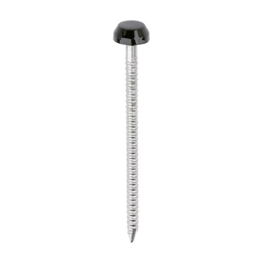 TIMCO Polymer Headed Pins A4 Stainless Steel Black - 40mm - Image