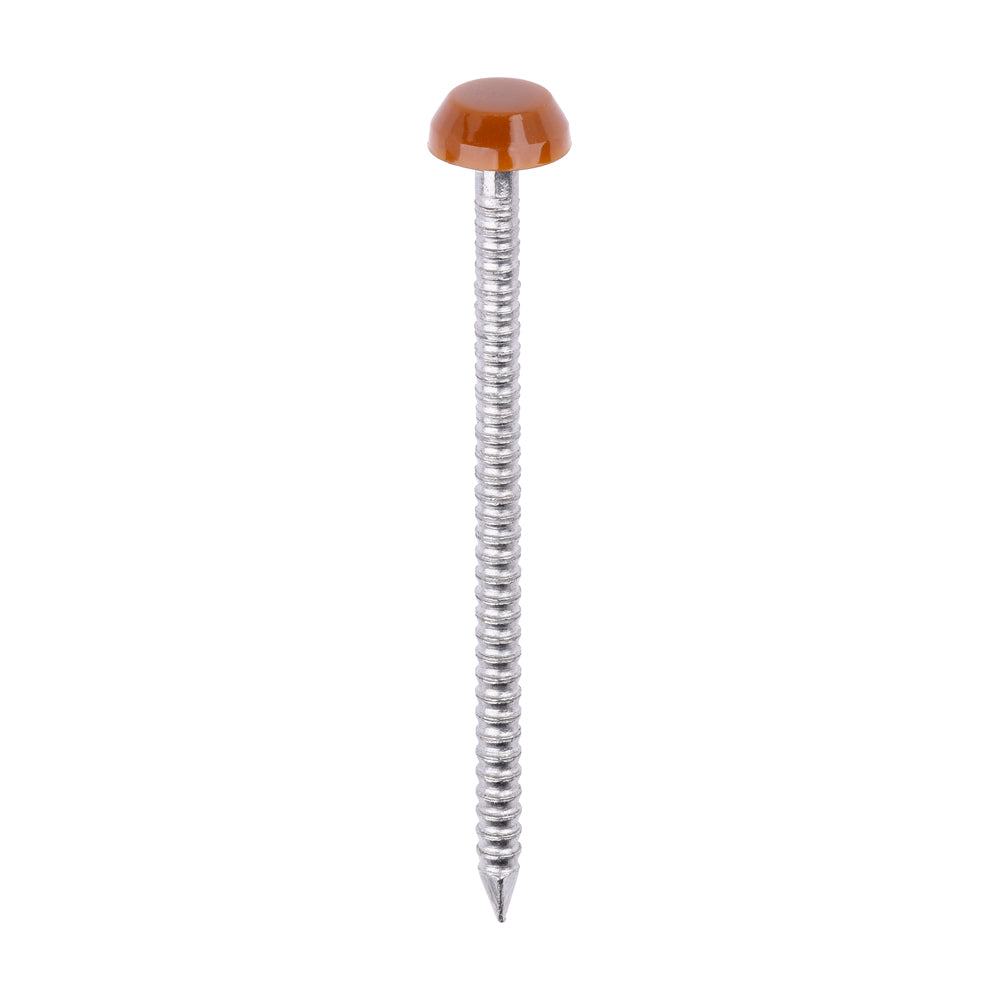 TIMCO Polymer Headed Pin A4 Stainless Steel Clay Brown - 40mm - Image