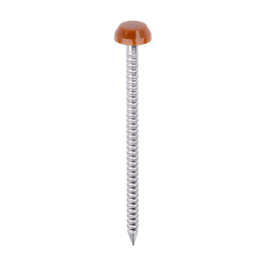 TIMCO Polymer Headed Pin A4 Stainless Steel Clay Brown - 40mm - Image