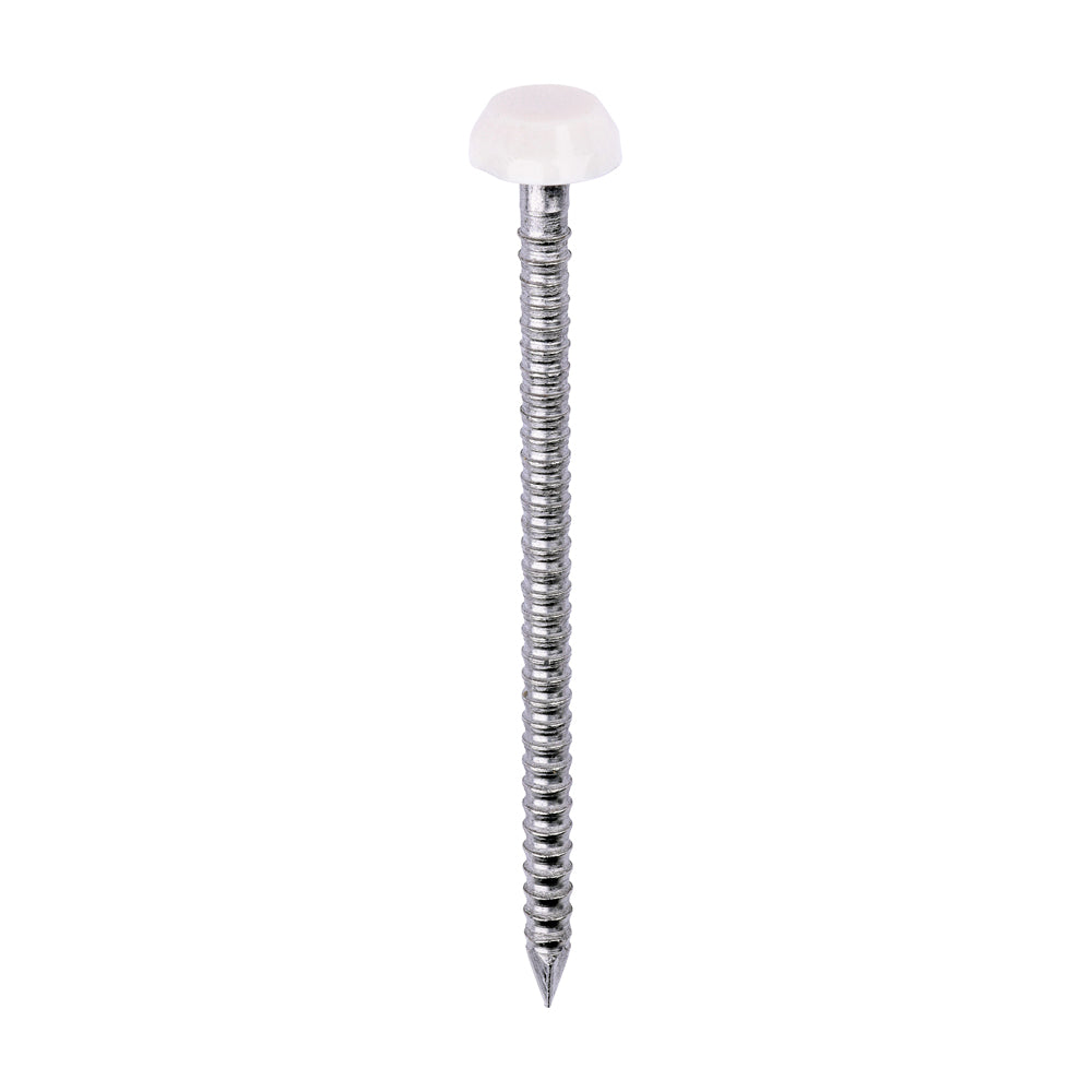 TIMCO Polymer Headed Pin A4 Stainless Steel Cream - 40mm - Image