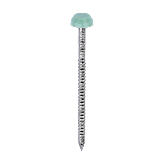 TIMCO Polymer Headed Pins A4 Stainless Steel Chartwell Green - 40mm - Image