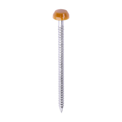 TIMCO Polymer Headed Pins A4 Stainless Steel Oak - 40mm - Image