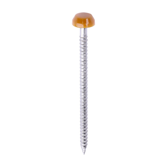 TIMCO Polymer Headed Pins A4 Stainless Steel Oak - 40mm - Image