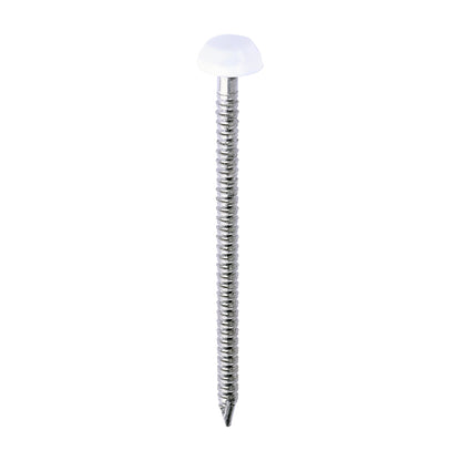 TIMCO Polymer Headed Pins A4 Stainless Steel White - 40mm - Image