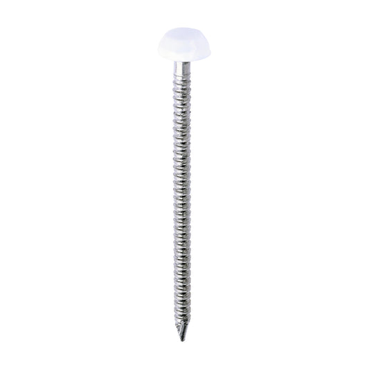 TIMCO Polymer Headed Pins A4 Stainless Steel White - 40mm - Image