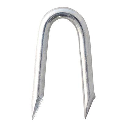 TIMCO Presser Point Staples Galvanised - 25 x 2.65 - Image